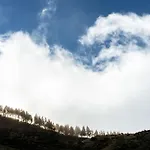 De Cruz De 4*