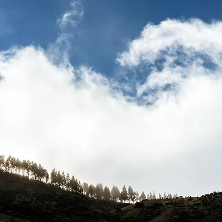 De Cruz De 4*